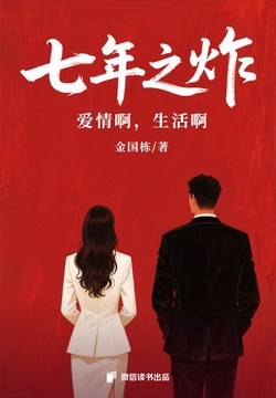 七年之炸：爱情啊，生活啊 封面