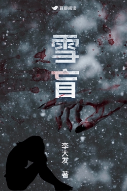 《雪盲》封面